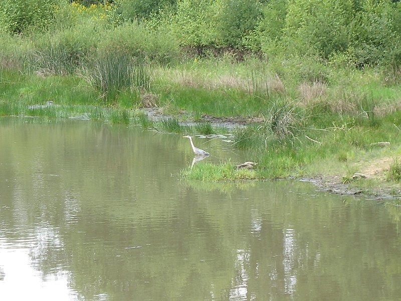 Myco Porte Baudet 09